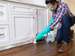 Best Pest Control for Multi-Family Homes  in Larchmont, NY